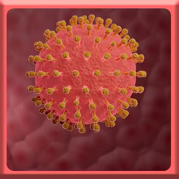 زگیل تناسلی